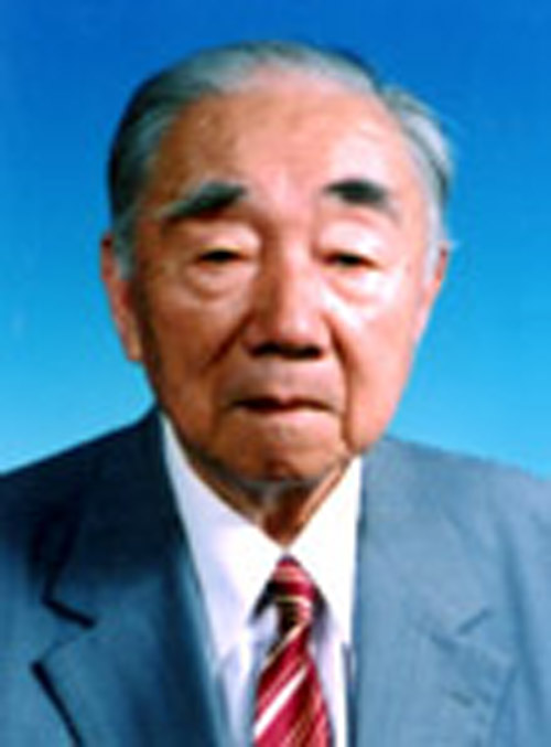 丁舜年